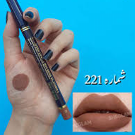 رژ مدادی استی لودر شماره ۲۲۱