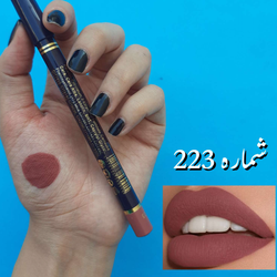 رژ مدادی استی لودر شماره ۲۲۳