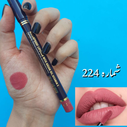 رژ مدادی استی لودر شماره ۲۲۴