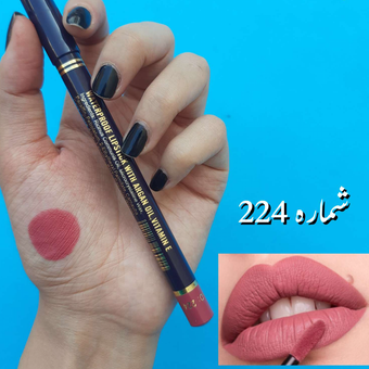 رژ مدادی استی لودر شماره ۲۲۴