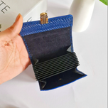 جاکارتی آکاردئونی چرم طبیعی