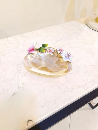 صدف پایه حلزونی برنجی | مدل 6