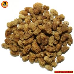 توت خشک ارگانیک درجه یک اعلا، یک کیلوگرم