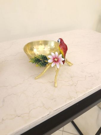 پیاله  طوطی