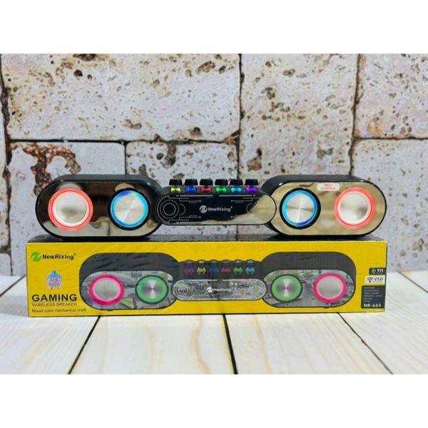 اسپیکر نیو ریکسینگ مدل NR-666