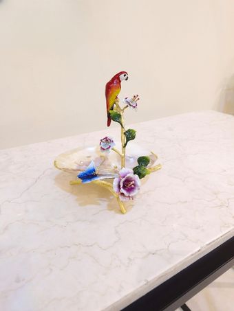 صدف طوطی برنجی | مدل 7