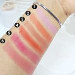 رژ گونه استیکی برند اسنس☀️