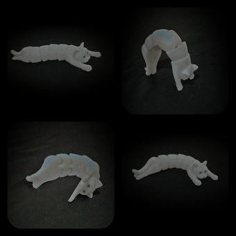 فیجت گربه مفصلی