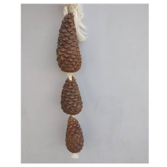 کاج جویدنی طوطی 3تایی تمیز و ضدعفونی