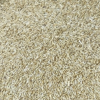 کتان ایرانی اسکای پروت شاپ درجه یک 1000گرم