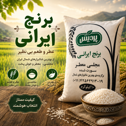 برنج ایرانی مجلسی معطر پردیس - 10 کیلوگرم