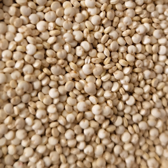 کینوا ( خاویار گیاهی)  ممتاز