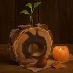 گلدان چوبی طبیعی مدل CHO1