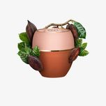 تندرکر کره کاکائو | بالم درمانی فوری برای خشکی، زبری پوست و بهبود زخم و سوختگی