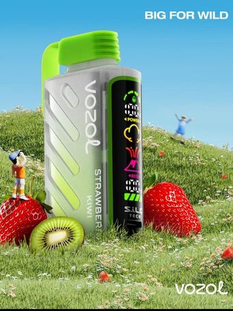 VOZOL 20000 GEAR POWER