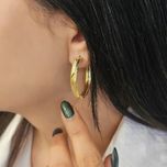 گوشواره نقره wr2