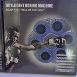 🥊 موزیک بوکس هوشمند دیواری (Music Boxing Machine) 🥊