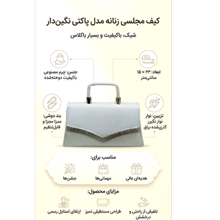 کیف         مجلسی زنانه چرم دو جیب