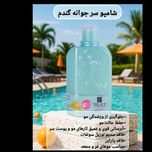 شامپو سر جوانه گندم و Q10 تراست