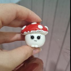 روداشبوردی قارچ کله گرد