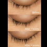 تقویت مژه لانبنا