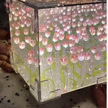 چراغ دشت لاله بی نهایت مربع