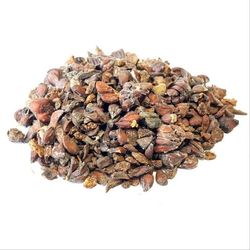 چهار تخمه 200 گرم