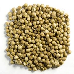 تخم گشنیز 200 گرم