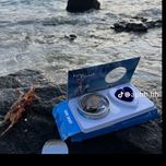 گردنبند مروارید عشق