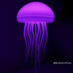 چراغ خواب عروس دریایی