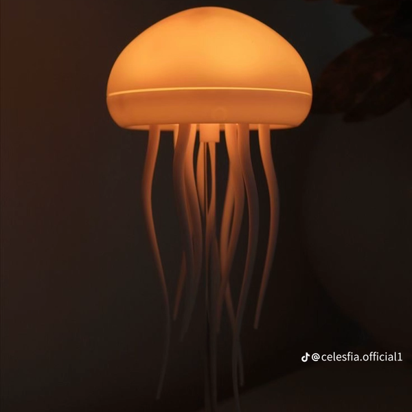 چراغ خواب عروس دریایی