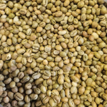 قهوه سبز روبستا پی بی هند