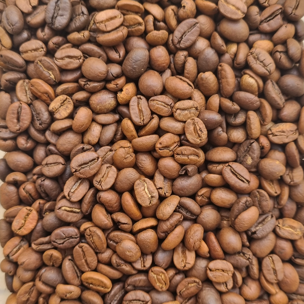 میکس قهوه 50/50 ترکیبی عربیکا روبستا