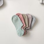 زیرقوزکی پاستلی