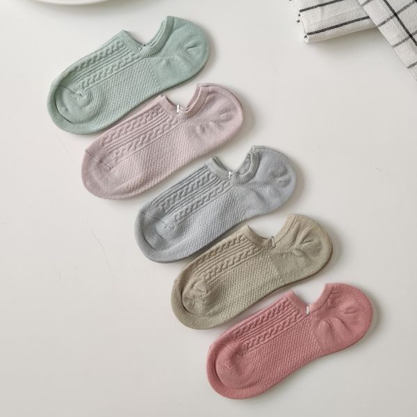 زیرقوزکی پاستلی