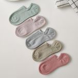 زیرقوزکی پاستلی