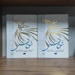 کتاب شعاع شمس غزلیات شمس به روایت دینانی