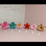 کلیپس پلومریا