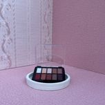 سایه 10 رنگ پرشین گرل