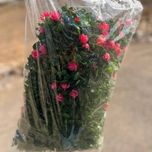 آویز شمشاد 16 شاخه گل دار