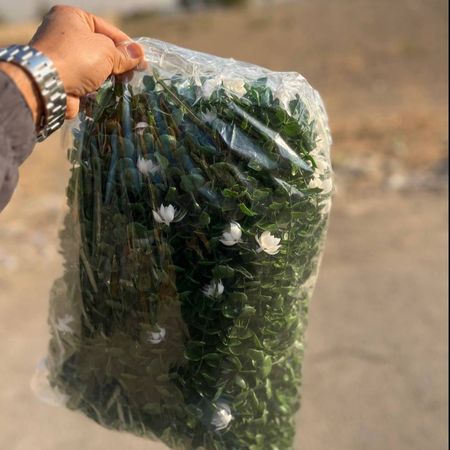 آویز شمشاد 16 شاخه گل دار