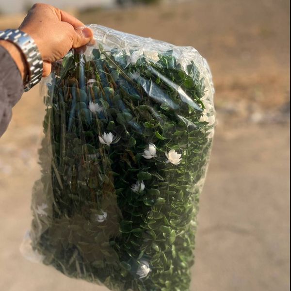 آویز شمشاد 16 شاخه گل دار