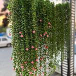 آویز شمشاد 16 شاخه گل دار