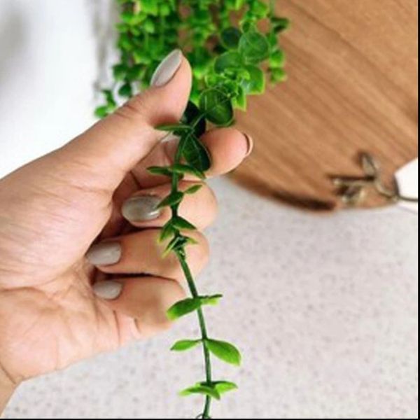 آویز شمشاد