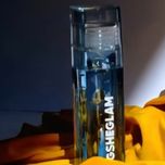 لیپ گلاس شیگلم