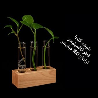 شیشه گلجا 16 سانت قطر 3 بسته 10 عددی