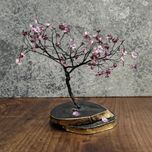 درختچه دکوری سیمی با پایه چوبی طبیعی | دکوراسیون میز و کنسول
