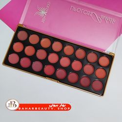 پالت رژ 24عددی گلدانجلA