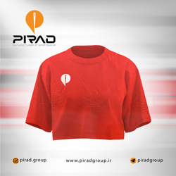 کراپ تاپ فلامنت