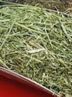 یونجه خشک برای ترکیب با دان سفارشی